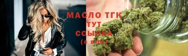 прущие грибы Дмитровск