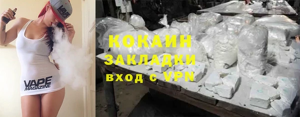 ешки Дмитриев