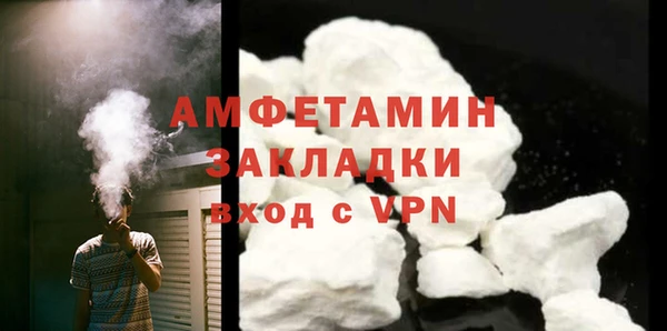 прущие грибы Дмитровск