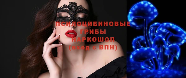 прущие грибы Дмитровск