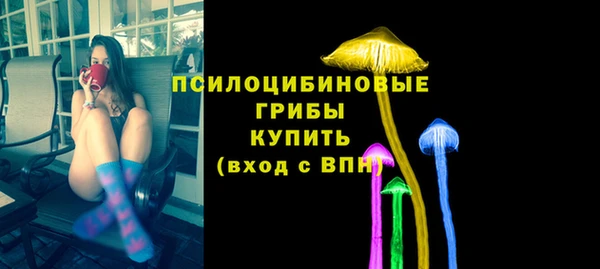 ешки Дмитриев