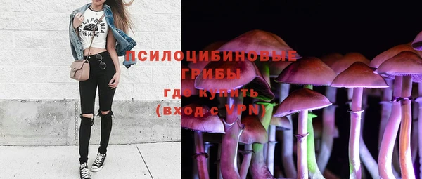 ешки Дмитриев